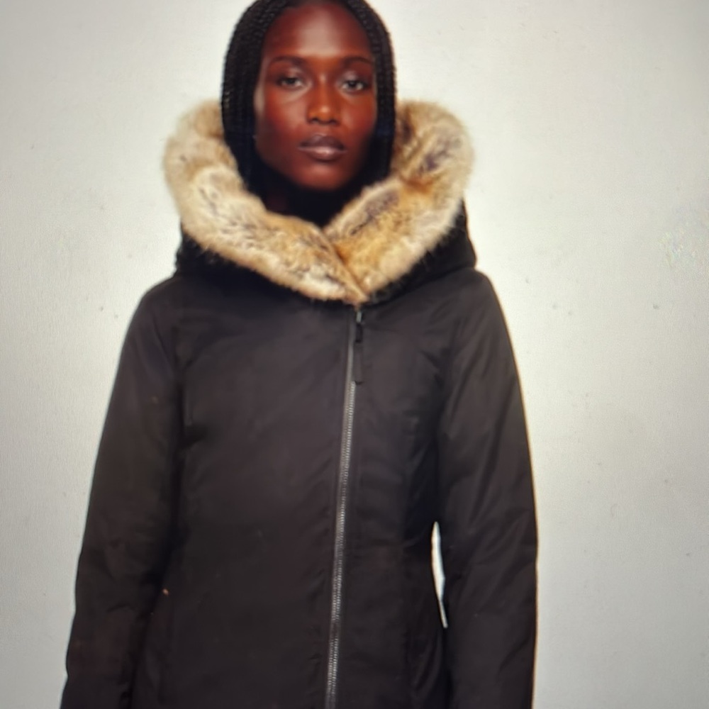 Aritzia Babaton St. Moritz Down Parka XS